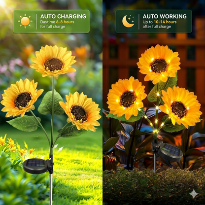 Radiant Solar Sunflowers